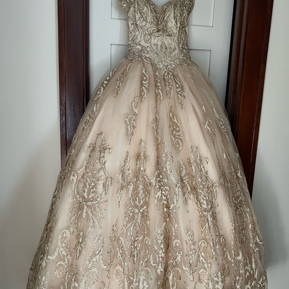 Prom Gown, Quinceañera Gown, Wedding Gown, Cosplay Gown or Ball Gown - Picture 11 of 14